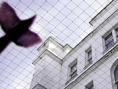 Bird Protection Net