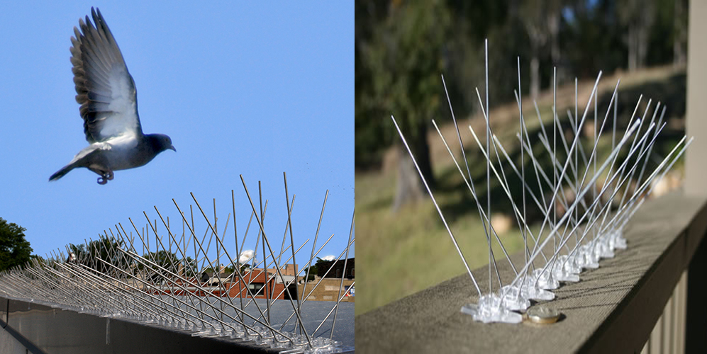 Bird Spikes In Madhapur