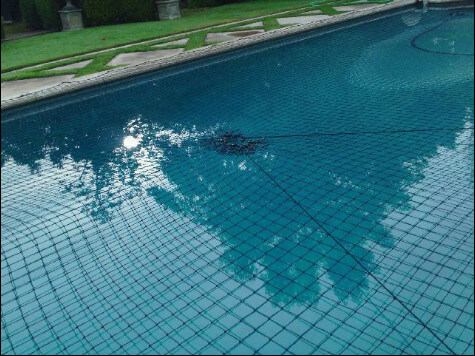 Swimming Pool Safety Net